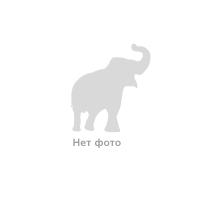 Подсвечник 10&quot; антик на ножке №90