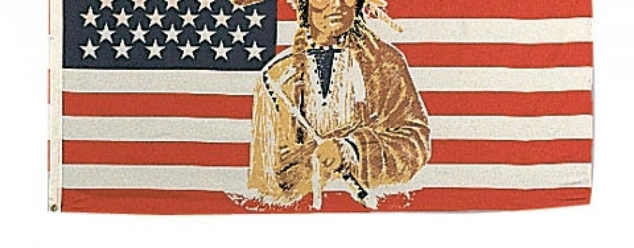 Флаг американский индеец  ― магазин нужных товаров у нас есть все playera.ru Тел 8-495-741-86-12 a7418612@yandex.ru  тнп карнавал праздник отдых спорт дом одежда 