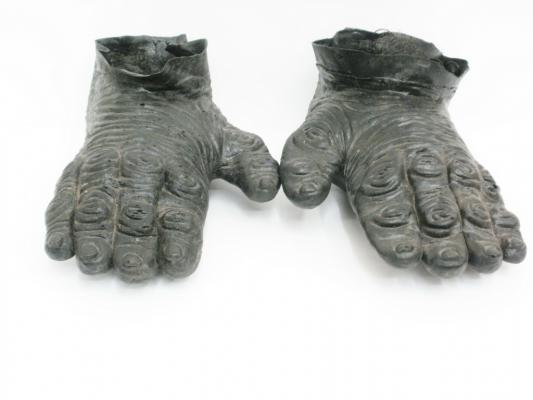  Ноги Гориллы  