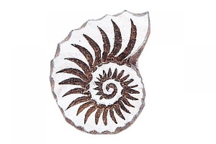 Штамп-печать "Ракушка"  Пш12/3