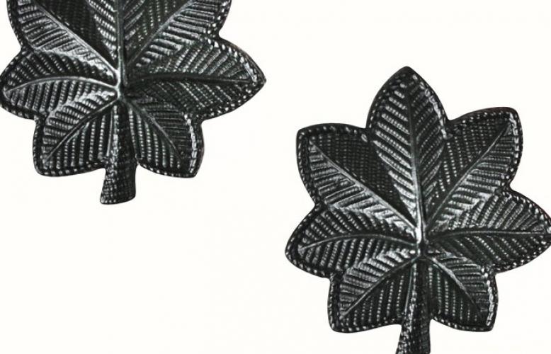 Петлицы лейтенанта-полковника  ― магазин нужных товаров у нас есть все playera.ru Тел 8-495-741-86-12 a7418612@yandex.ru  тнп карнавал праздник отдых спорт дом одежда 