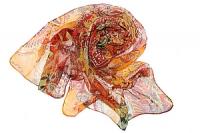 Кашне  (шифон)  №65