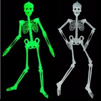  Светонакопитель скелет малый 20 см 
